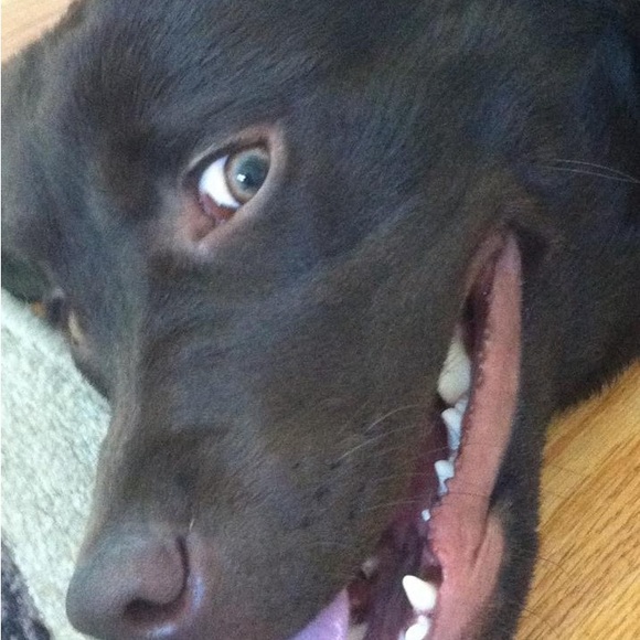 Meet your Posher, Angela - Picture 14 of 16